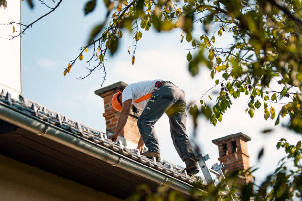 Quick and Trustworthy Emergency Roof Repair Services in Mapleton, IA
