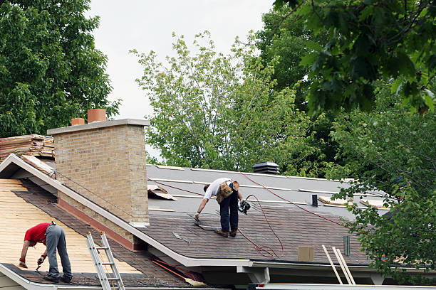 Best Roof Leak Repair  in Mapleton, IA